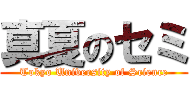 真夏のセミ (Tokyo University of Science)