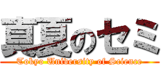 真夏のセミ (Tokyo University of Science)