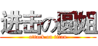 进击の圆姐 (attack on titan)