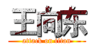王向东 (attack on titan)