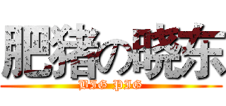 肥猪の晓东 (BIG PIG)