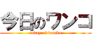 今日のワンコ (today of wanko)