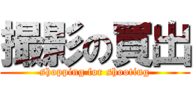 撮影の買出 (shopping for shooting)