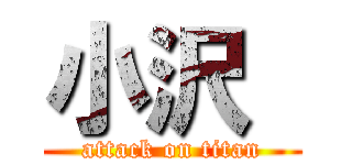 小沢  (attack on titan)