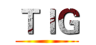 ＴＩＧ ()