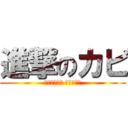 進撃のカビ (燃えるゴミは 月・水・金)