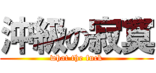沖級の寂寞 (what the fuck)