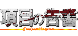 項目の告書 (Project Report)