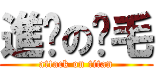 進擊の腳毛 (attack on titan)