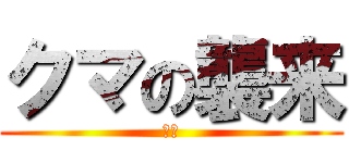 クマの襲来 (クマ)