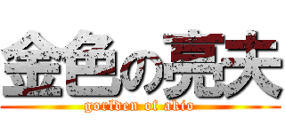 金色の亮夫 (gorlden of akio)