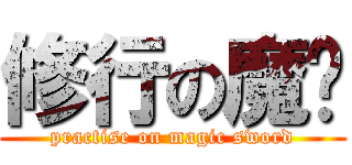 修行の魔剑 (practise on magic sword)