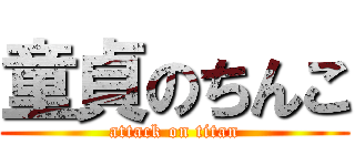 童貞のちんこ (attack on titan)