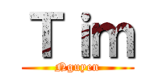Ｔｉｍ (Nguyen)