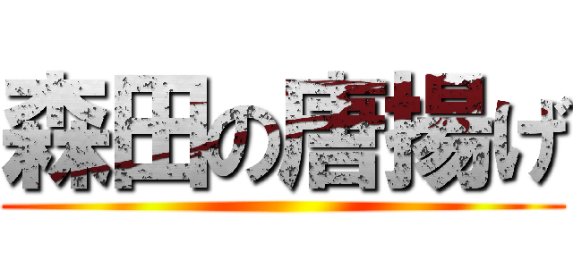 森田の唐揚げ ()