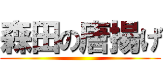 森田の唐揚げ ()