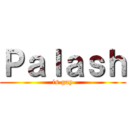 Ｐａｌａｓｈ (is gay)