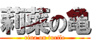 莉菜の亀 (rina on turtle)