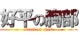 好平の胸部 (attack on chest)