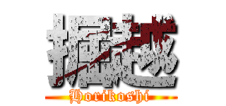 掘越 (Horikoshi)