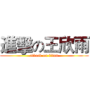 進擊の王欣雨 (attack on titan)