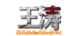 王涛 (EVERYTHING IS POSSIBLE)