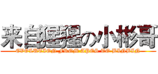 来自猩猩の小彬哥 (EVOLUTION FROM APES TO BINBIN)