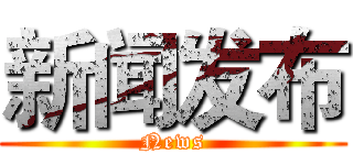 新闻发布 (News)