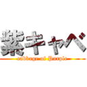 紫キャベ (cabbage of Purple)