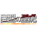 巨型の壁虎 (Big Gecko)