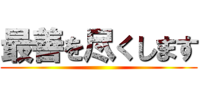最善を尽くします ()
