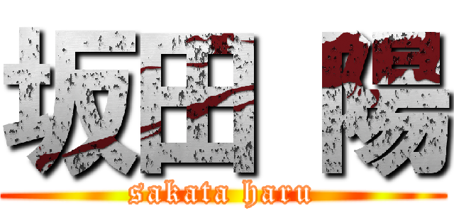 坂田 陽 (sakata haru)