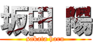 坂田 陽 (sakata haru)