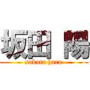 坂田 陽 (sakata haru)