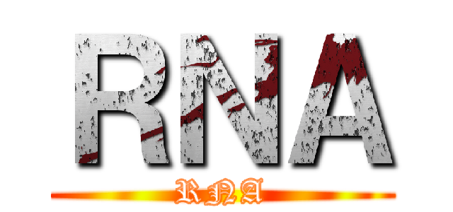 ＲＮＡ (RNA)