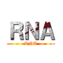 ＲＮＡ (RNA)