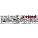 面板延長排線 ()