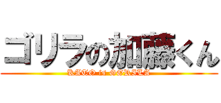 ゴリラの加藤くん (KATO is GORILA)