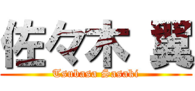 佐々木 翼 (Tsubasa Sasaki)