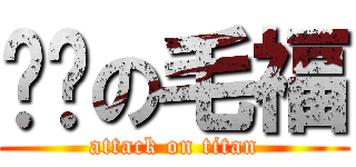 亲爱の毛福 (attack on titan)