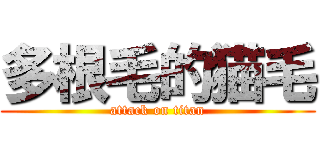 多根毛的猫毛 (attack on titan)