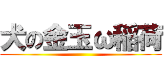 犬の金玉ω稲荷 ()