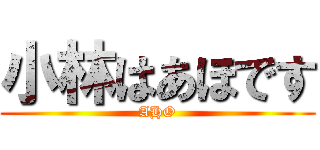 小林はあほです (AHO)