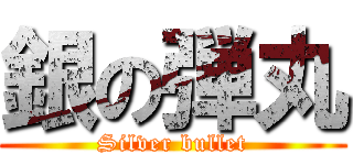銀の弾丸 (Silver bullet)
