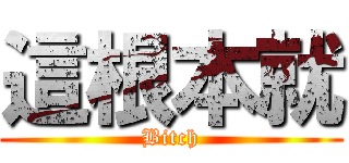 這根本就 (Bitch)