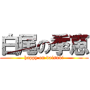 白尾の季恵 (happy on daisuki)