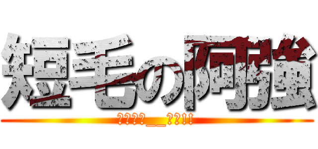 短毛の阿強 (終極進擊__失敗!!)