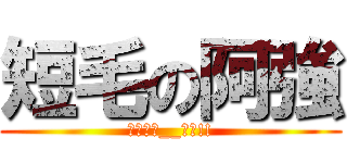 短毛の阿強 (終極進擊__失敗!!)