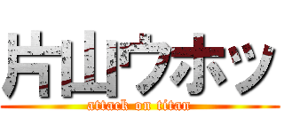 片山ウホッ (attack on titan)