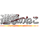 進撃のねこ (shingeki  no  neko)